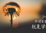 LOL决赛-极速七秒，2026世界杯决赛，罗马尼亚的绝杀与奥斯梅恩的闪电时刻