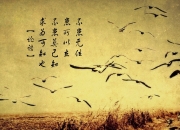 LOL赛事-2026世界杯B组，巴西与丹麦的巅峰对决，梅西火热状态点燃绿茵奇迹