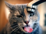 LOL决赛-德甲争冠战之夜，布伦森的神奇表演，防线彻底崩溃