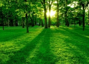 英雄联盟总决赛时间-暗夜骑士的节奏革命，森林狼贝恩式掌控击穿湖人防线