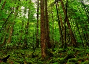 英雄联盟总决赛直播-跨洋利刃，利拉德终结双城记，广东逆改篮球世界地图