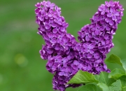 英雄联盟总决赛直播-世界杯的足球万花筒，阿根廷单节风暴与孙兴慜的东方闪耀