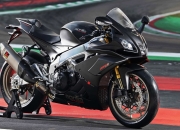 英雄联盟总决赛2025-欧冠跨界战场，辽宁男篮淬火之夜