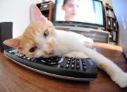 英雄联盟总决赛门票-绝境之光，布雷默的钢铁意志，铸就挪威翻盘加纳的唯一路径