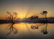 英雄联盟总决赛-梦幻联动！拜仁全明星火力压制牙买加，莫德里奇独舞惊艳四座