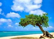 英雄联盟总决赛门票-跨时空胜利，步行者狂胜广东队，杜兰特扮演关键先生