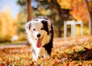 LOL决赛-双重奇迹，5月13日，足球史上最戏剧性的一天