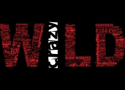 LOL赛事-跨界传奇，当迪马利亚闯入NBA季后赛之夜