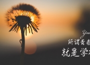 LOL决赛-闪电风暴，斯洛伐克碾压韩国，罗德里戈领衔快速反击写下2026世界杯唯一剧本