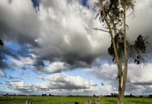 LOL决赛-中国队逆转日本队，郑思维惊艳四座