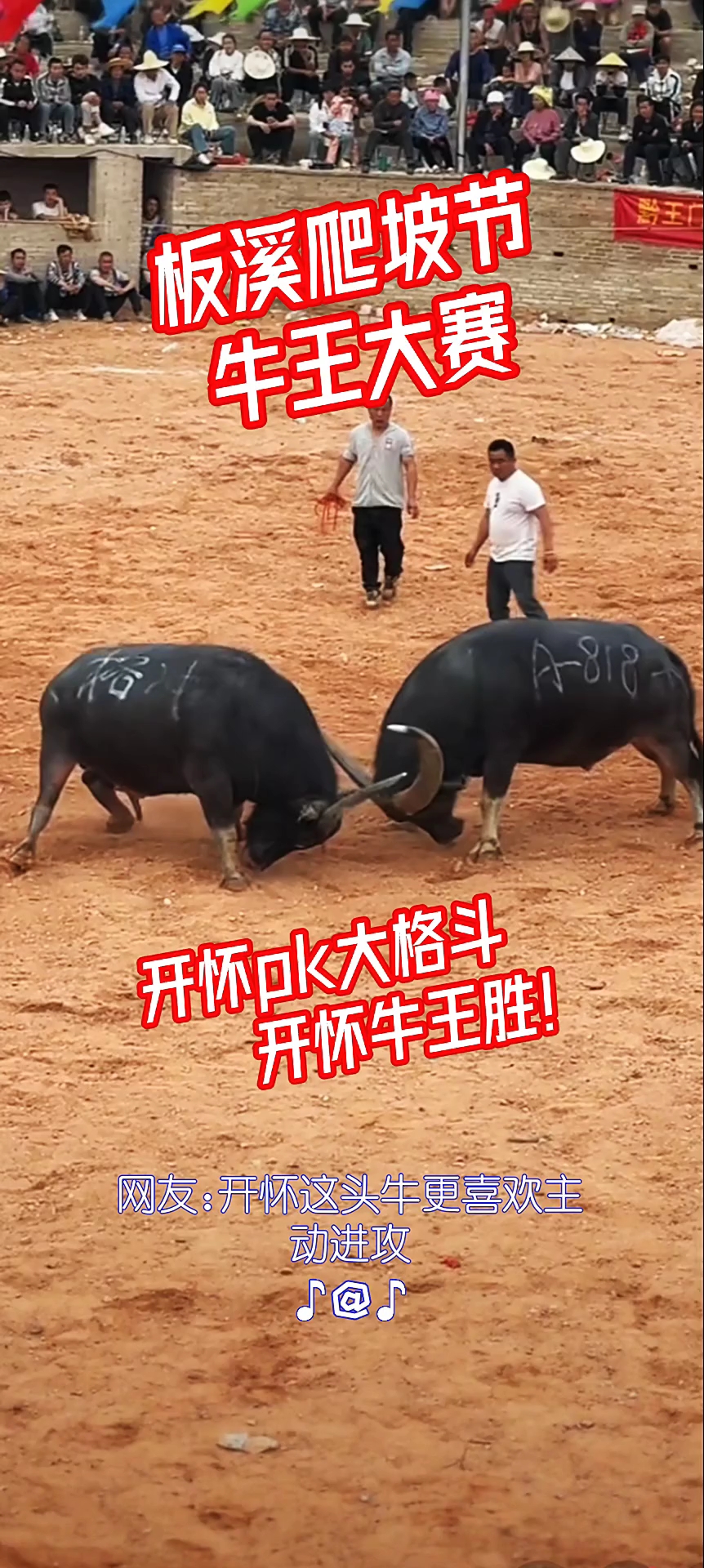 公牛惊险取胜老鹰，追平东部前列的简单介绍