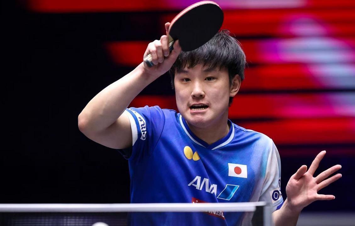 关于中国队险胜瑞典队，张本智和状态火热的信息