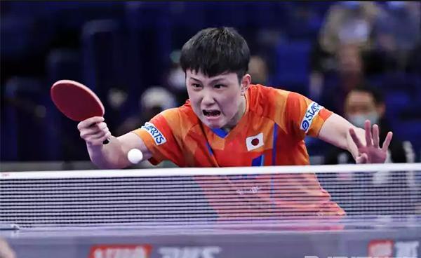 奥地利队险胜波兰队,张本智和刷新纪录的简单介绍 奥地利队险胜波兰队,张本智和刷新纪录的简单介绍