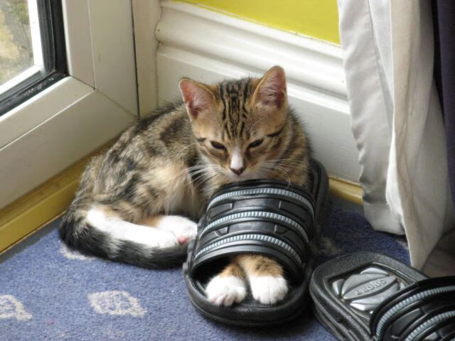 从威斯特法伦到麦迪逊，同夜双战场，共谱唯一性史诗