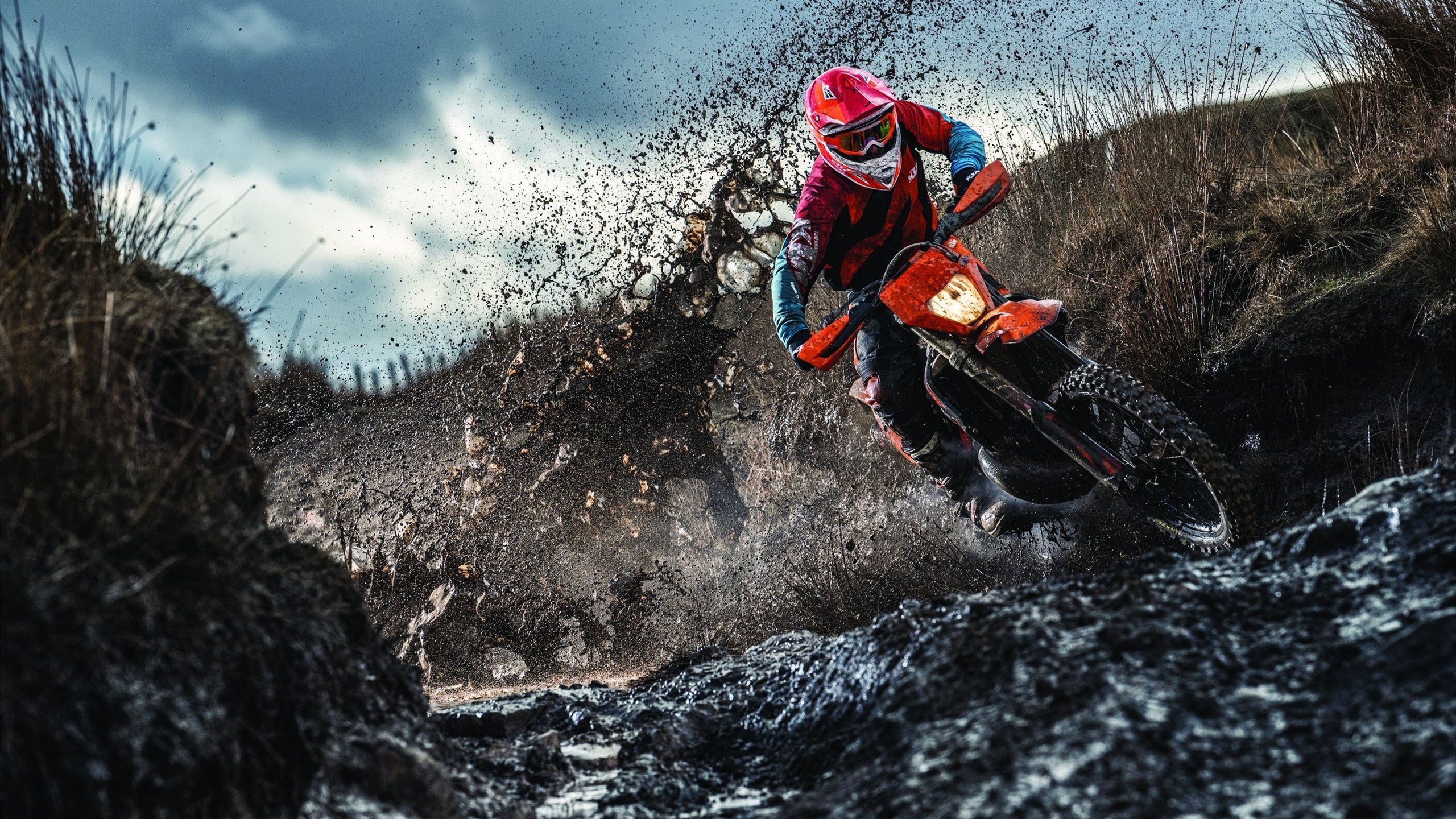 猎鹰折翼，王者归来，辽宁铁血防守与克莱史诗级救赎的篮球启示录