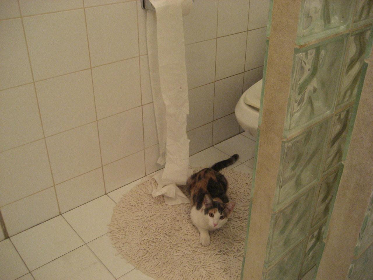 当死斗响彻决战城