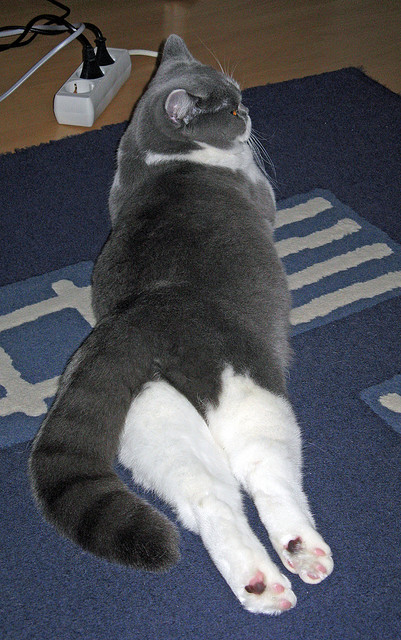 极寒北境的一把烈火，阿什拉夫何以在挪威的夜晚证明冠军成色