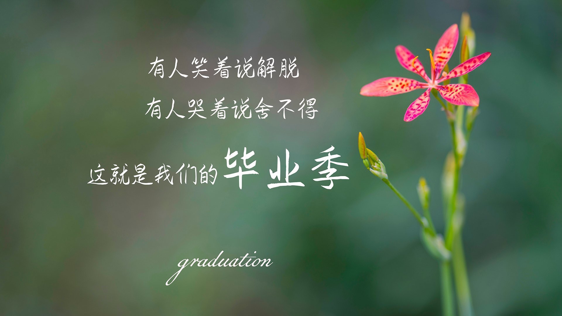 宿敌的火种，一场定义了荣耀的传奇鏖战