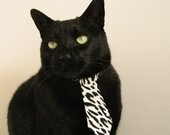 F1年度争冠之夜，蒂亚戈的持续杀伤，改写冠军命运