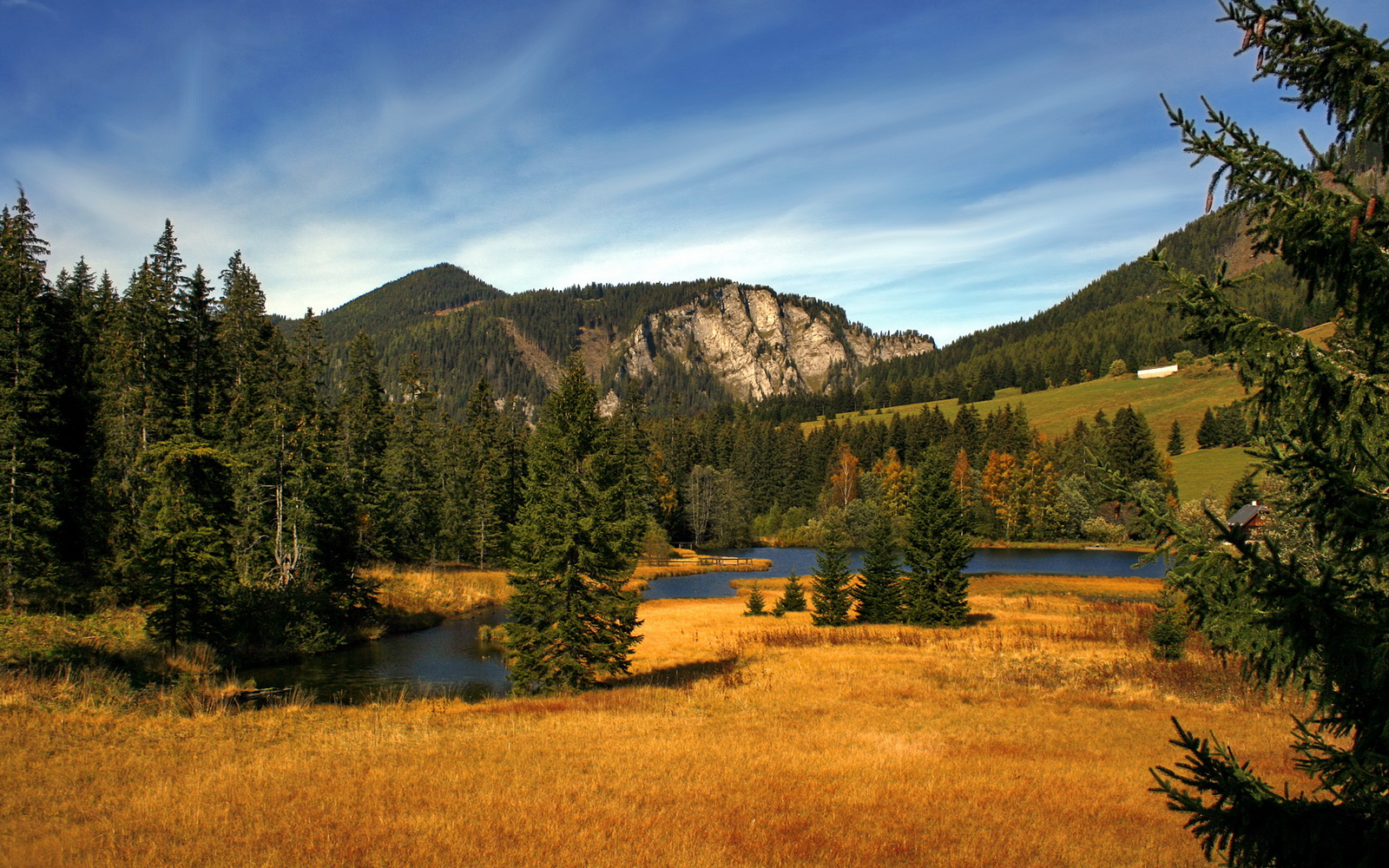 狂潮吞没袋鼠军团，安哥拉连续得分风暴压垮澳大利亚
