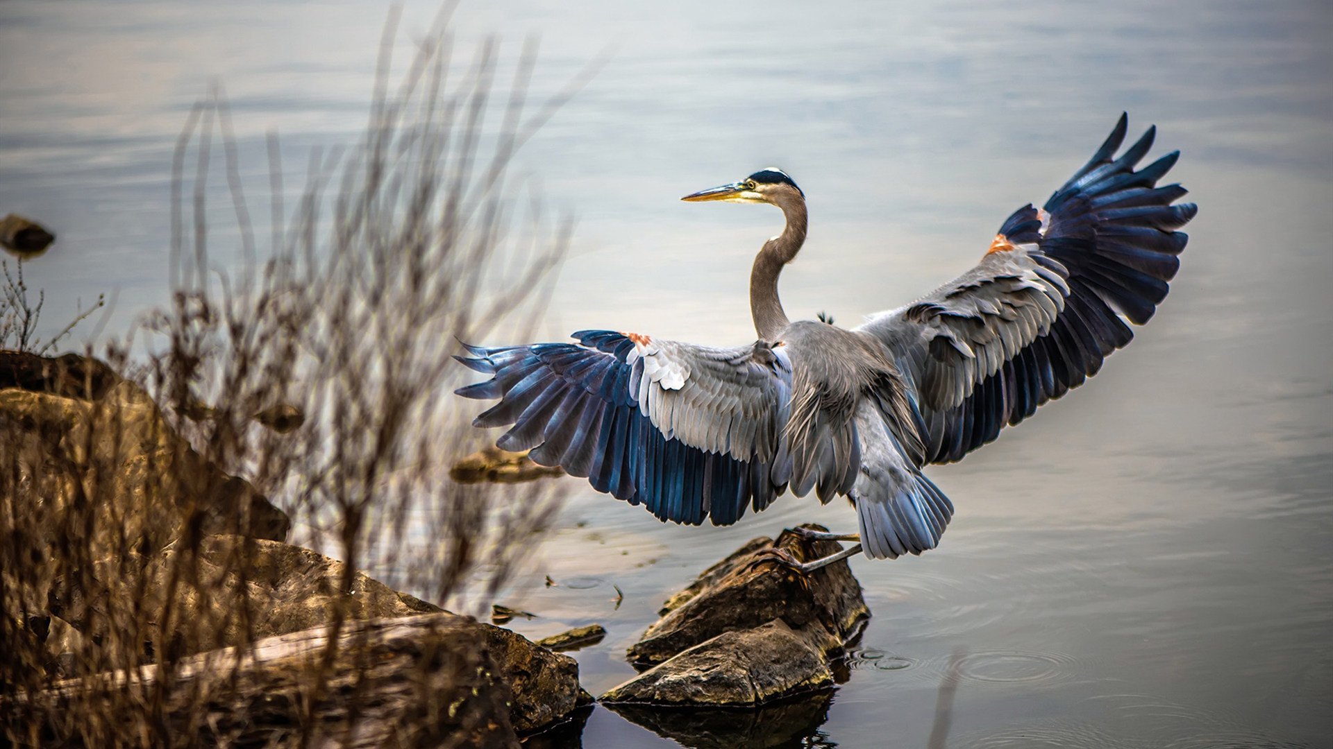 炸毁数据栏,阿劳霍在季后赛之夜完成了不可能的数字拼图