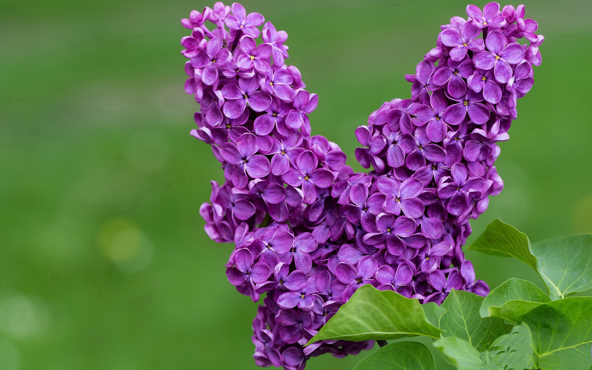 世界杯的足球万花筒，阿根廷单节风暴与孙兴慜的东方闪耀