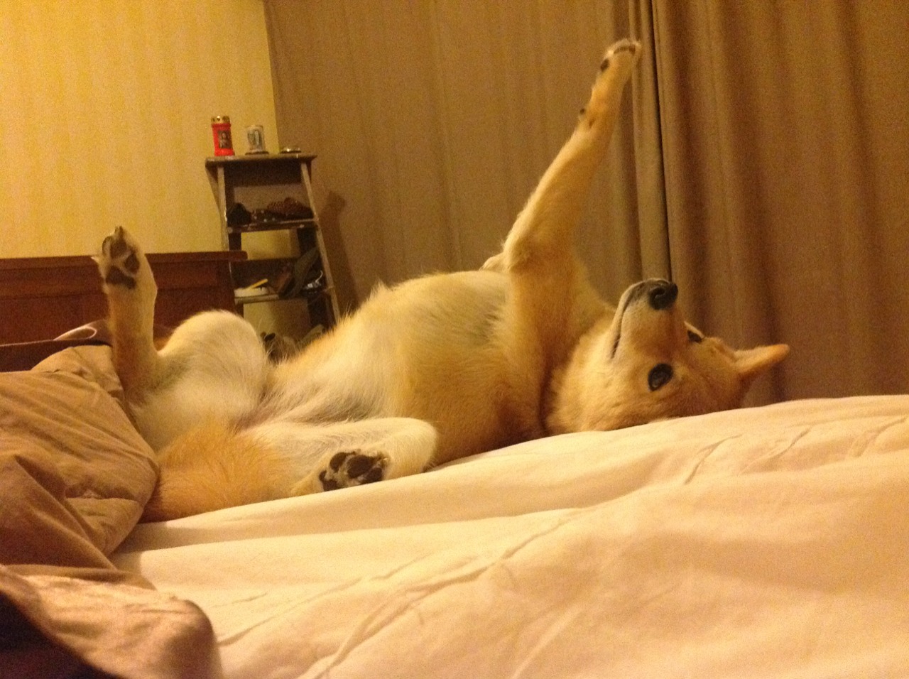 时空缝隙中的绿茵奇迹，洪都拉斯如何在平行宇宙的欧冠半决赛中完胜韩国