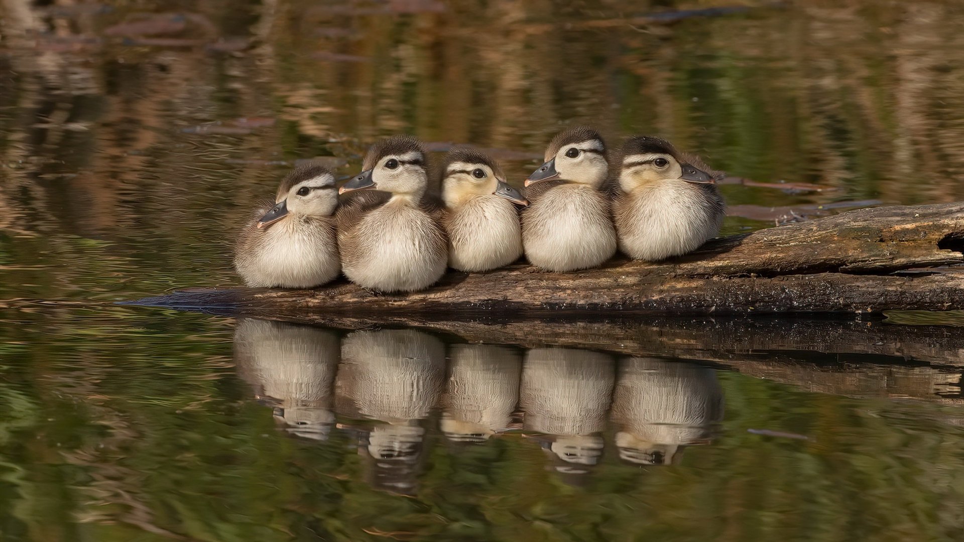用一管改写生死簿，哈弗茨末节15分逆转季后赛抢七之夜