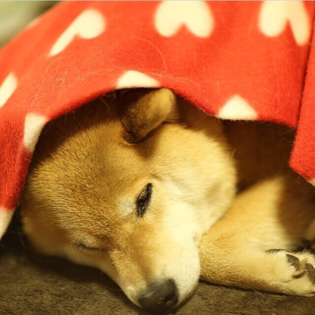 唯此一剑，裂破长夜，罗德里，那个为大场面而生的男人