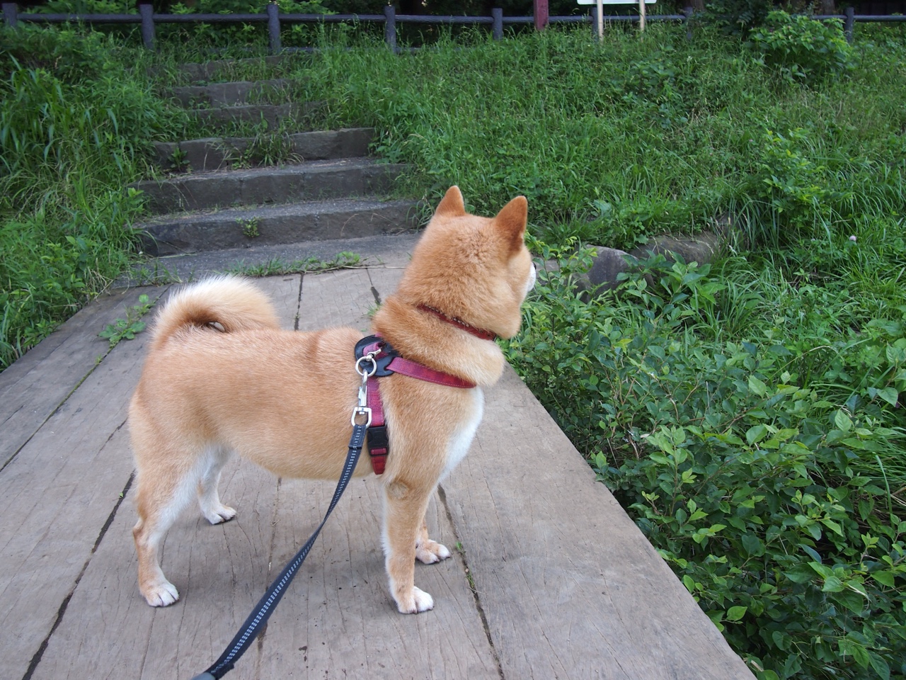 当个人才华遇见集体铁蹄，帕尔默的灵性淹没在摩洛哥的火力狂潮中