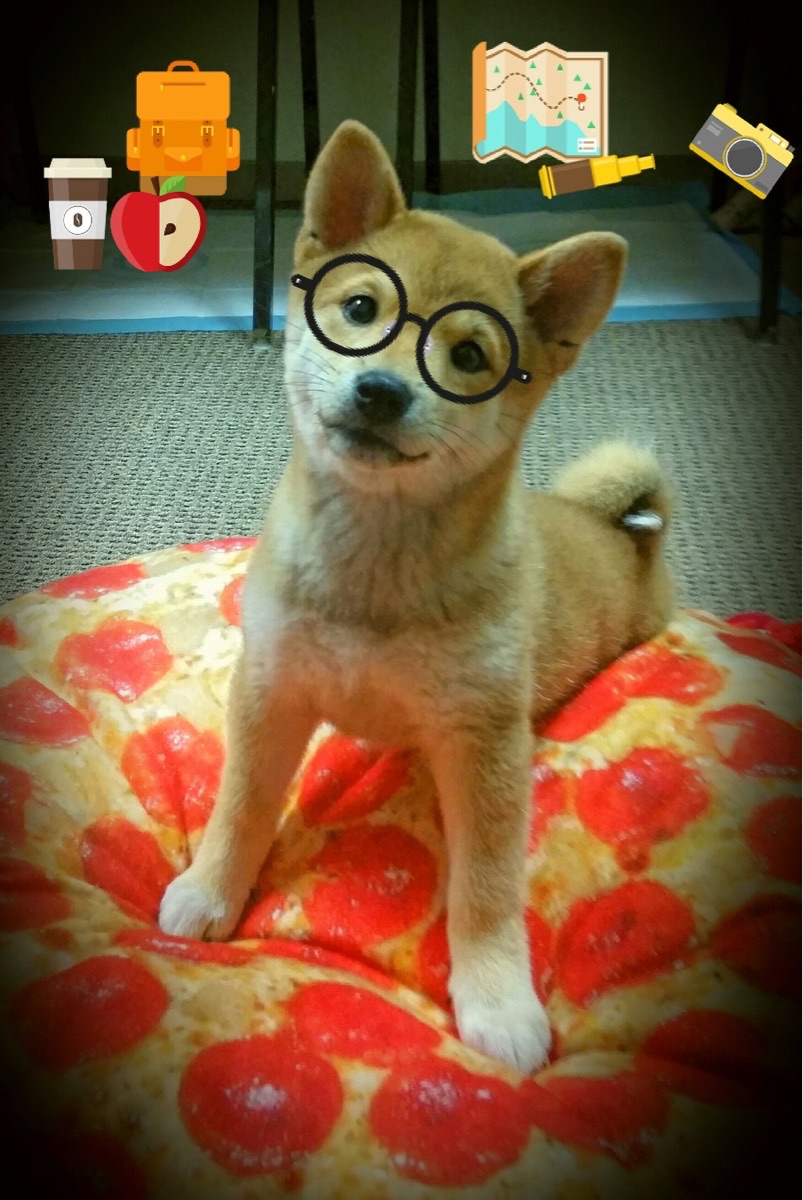 维苏威火山在巴黎脚下喷发，奥亚尔萨瓦尔用那不勒斯海啸冲垮阿尔及利亚防线