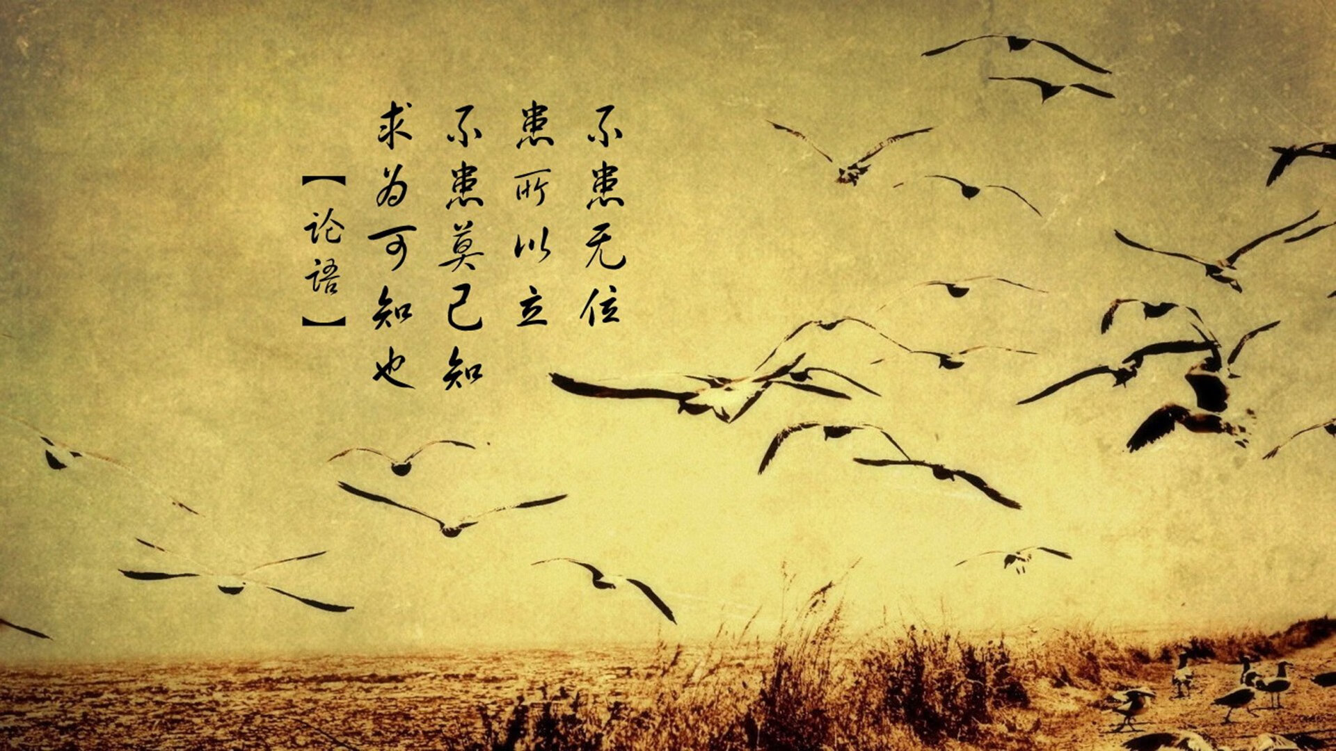 当必然遇到偶然，若日尼奥的纪录之盾，难挡埃及法老的时光匕首