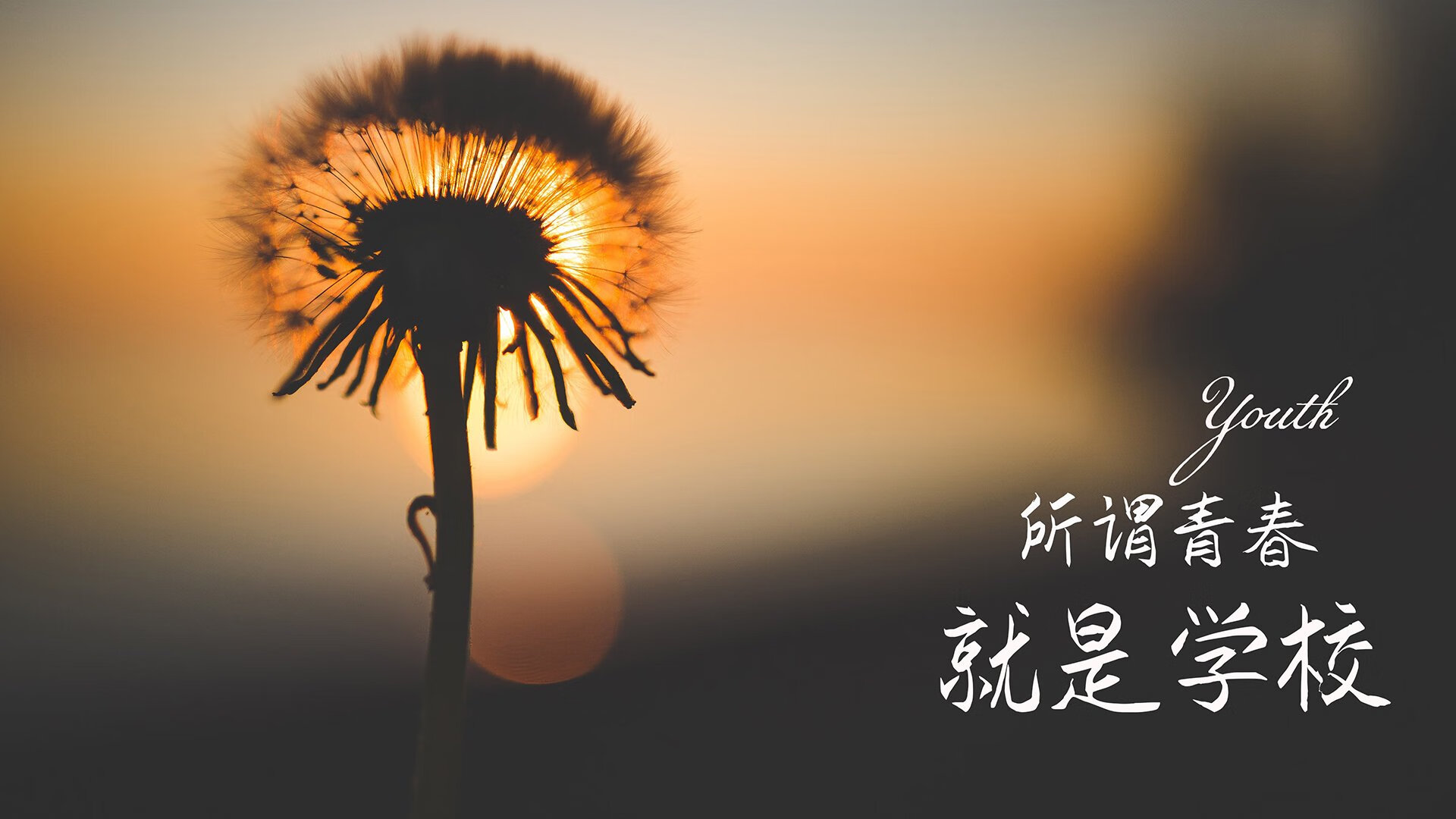 极速七秒，2026世界杯决赛，罗马尼亚的绝杀与奥斯梅恩的闪电时刻