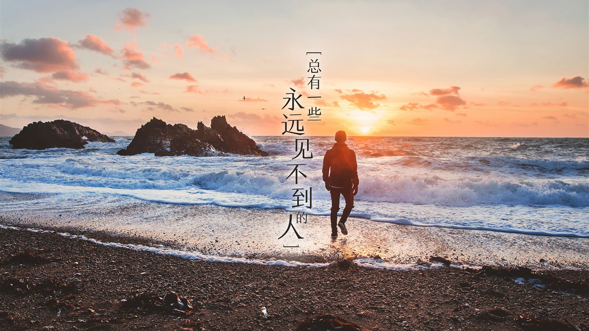 沙漠风暴席卷中北美,2026世界杯D组,阿联酋如何用B费时刻撕裂哥斯达黎加的铁血防线